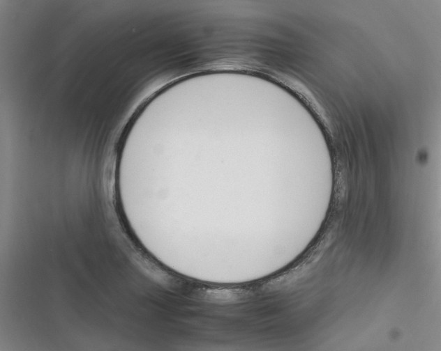 X0000116351227201001131059