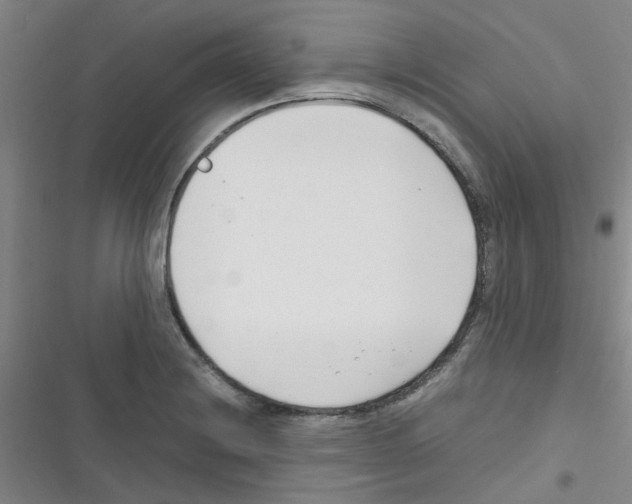 X0000116351228201001131059
