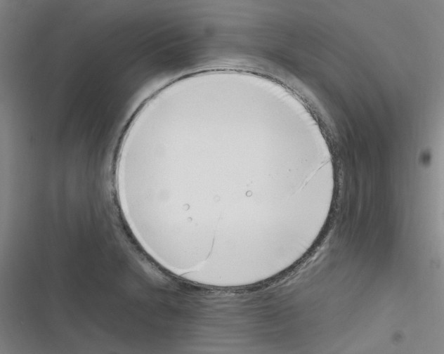 X0000116351230201001131059