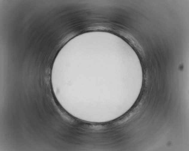 X0000116351233201001131059