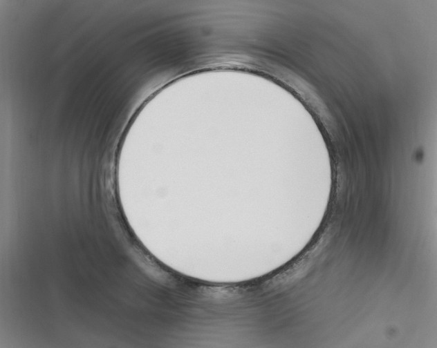 X0000116351234201001131059