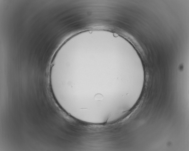 X0000116351236201001131059