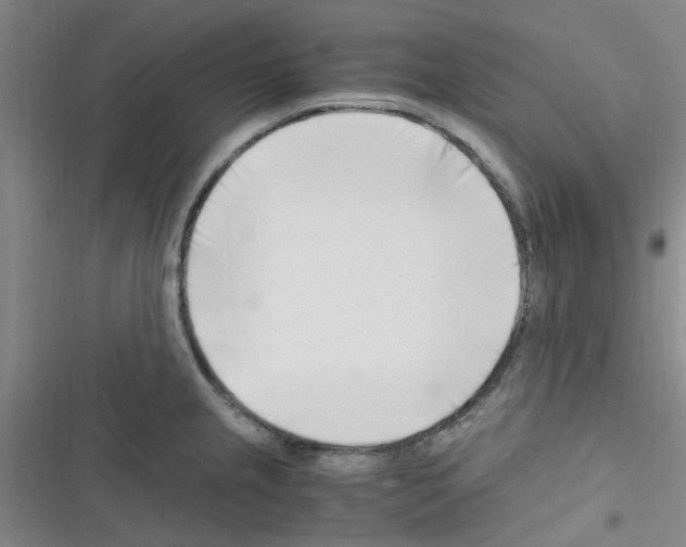 X0000116351237201001131059