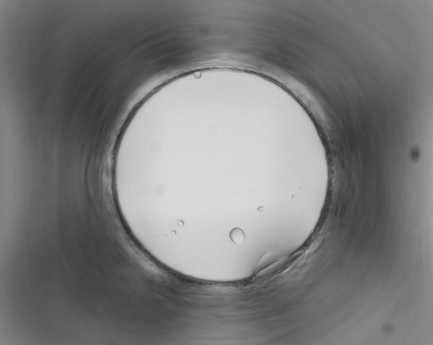 X0000116351238201001131059