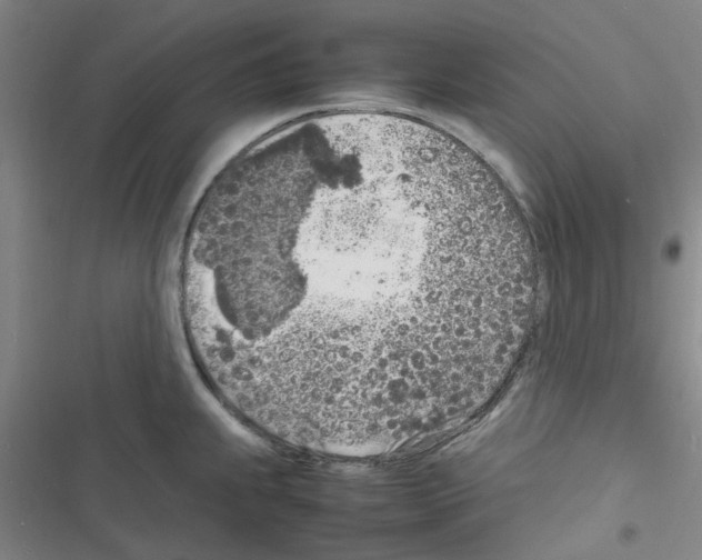X0000116351239201001131059