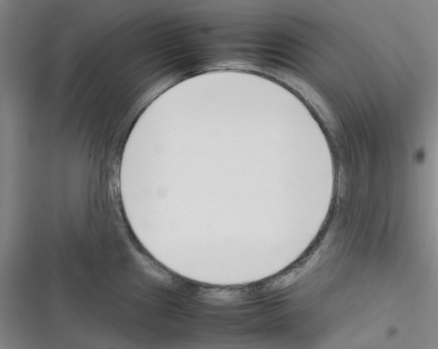 X0000116351241201001131059