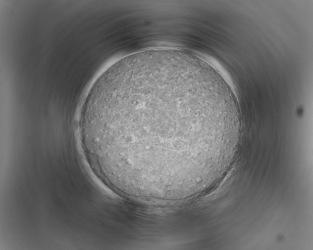 X0000116351243201001131059