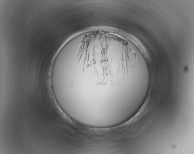 X0000116351244201001131059