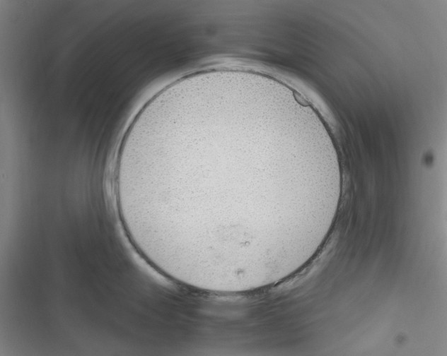 X0000116351247201001131059
