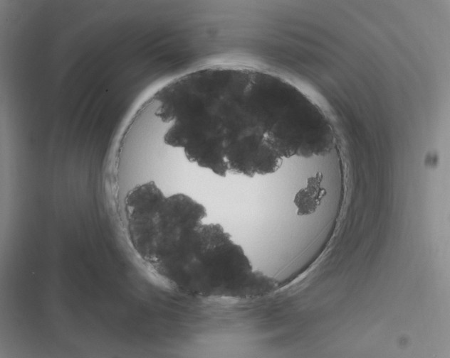X0000116351248201001131059