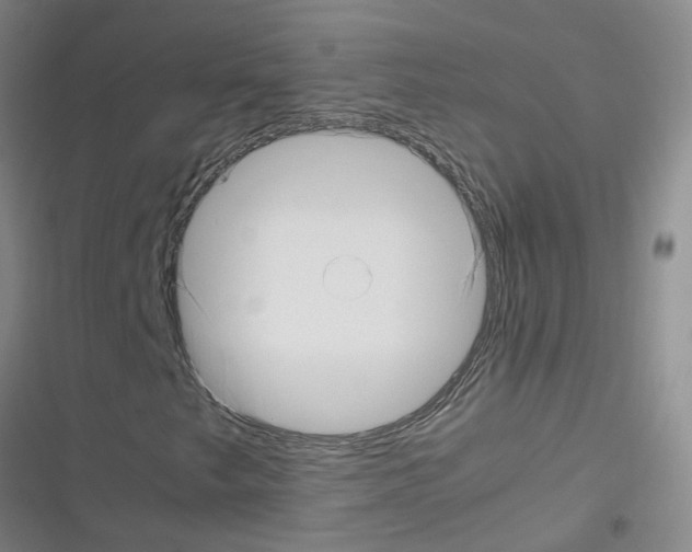 X0000116351249201001131059