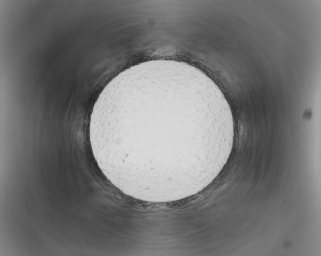 X0000116351250201001131059