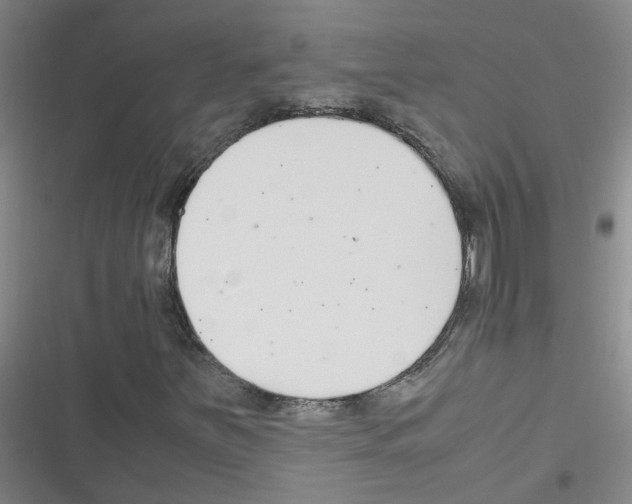 X0000116351251201001131059