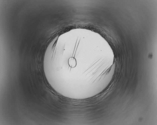 X0000116351252201001131059