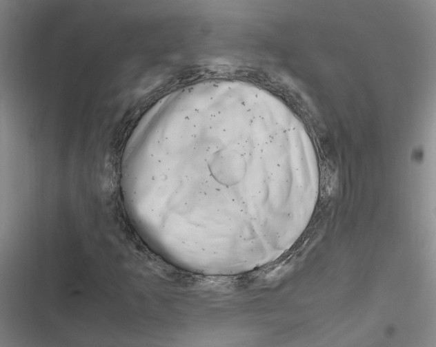 X0000116351253201001131059
