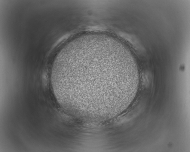 X0000116351254201001131059