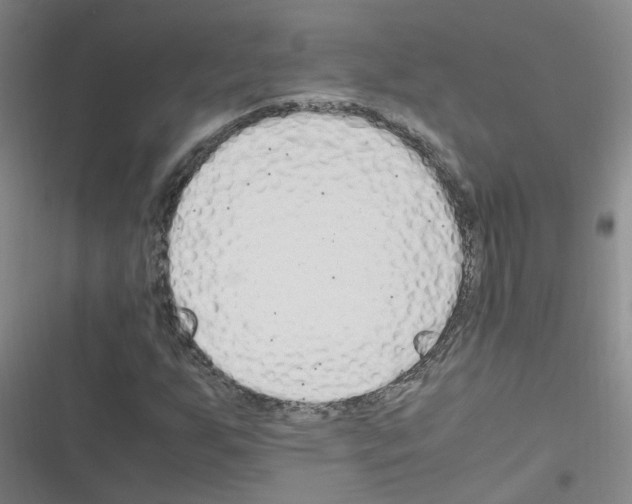 X0000116351255201001131059