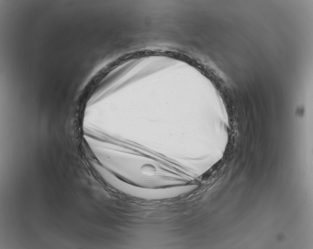 X0000116351256201001131059