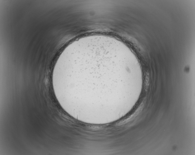 X0000116351257201001131059