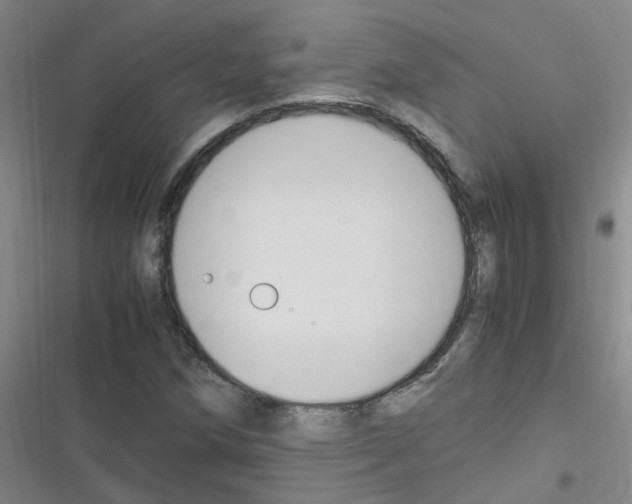 X0000116351258201001131059