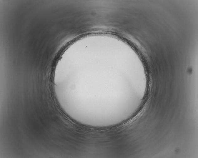 X0000116351259201001131059