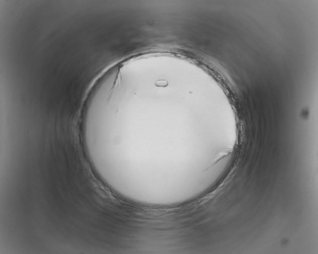 X0000116351260201001131059