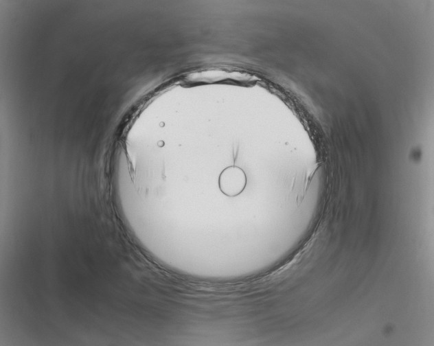 X0000116351261201001131059