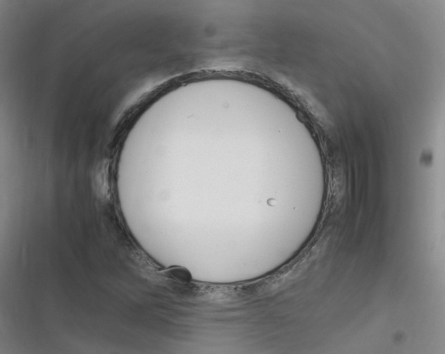 X0000116351262201001131059