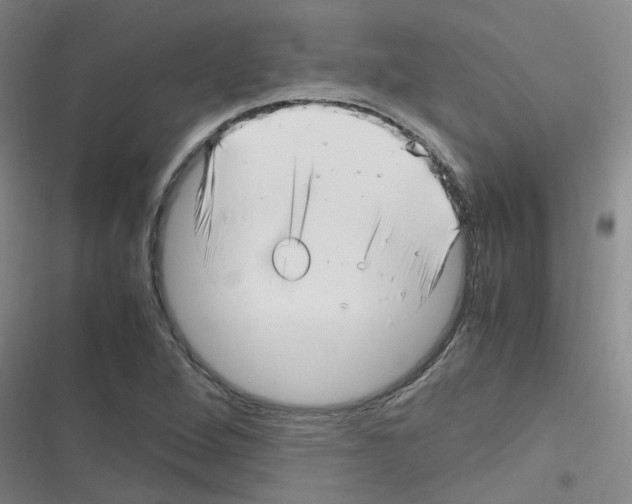 X0000116351264201001131059
