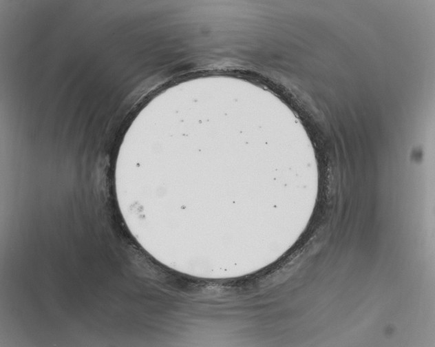 X0000116351265201001131059