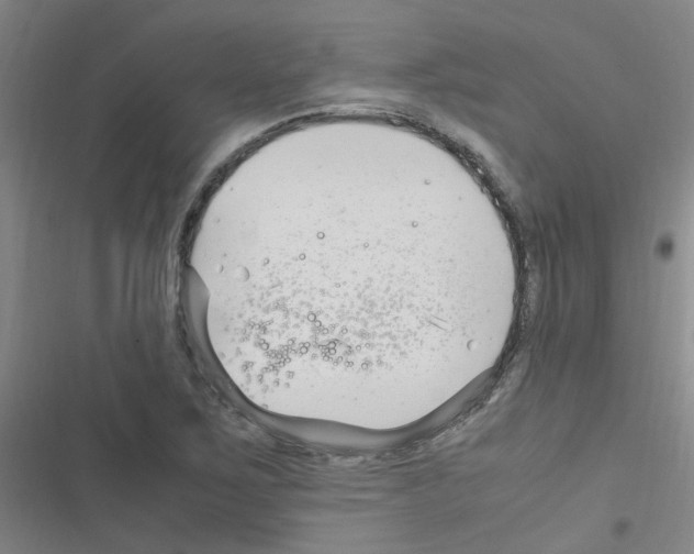 X0000116351267201001131059