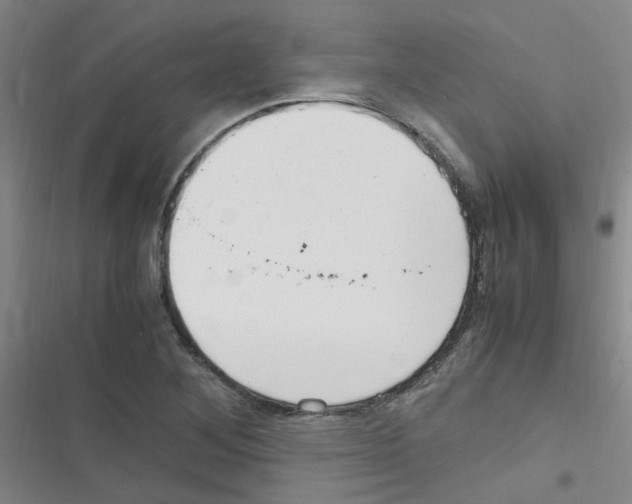 X0000116351268201001131059
