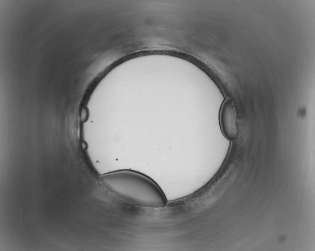 X0000116351269201001131059