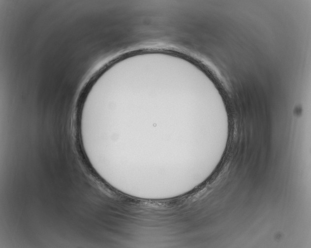 X0000116351270201001131059