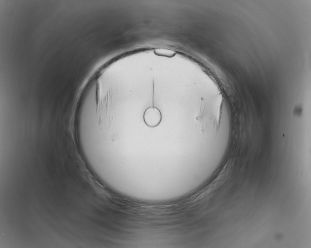 X0000116351272201001131058