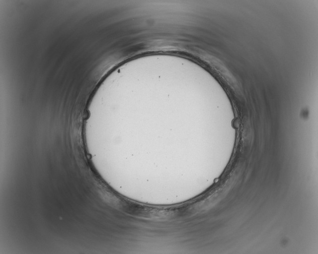 X0000116351273201001131058
