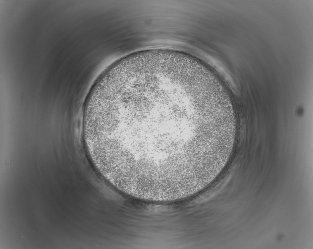 X0000116351275201001131058
