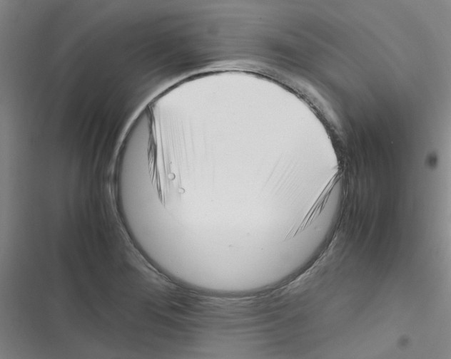 X0000116351276201001131058