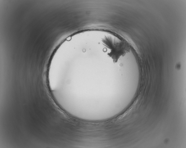 X0000116351277201001131058