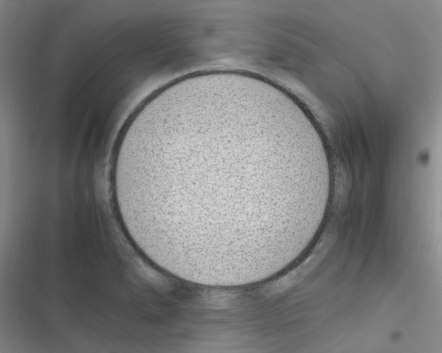 X0000116351278201001131058