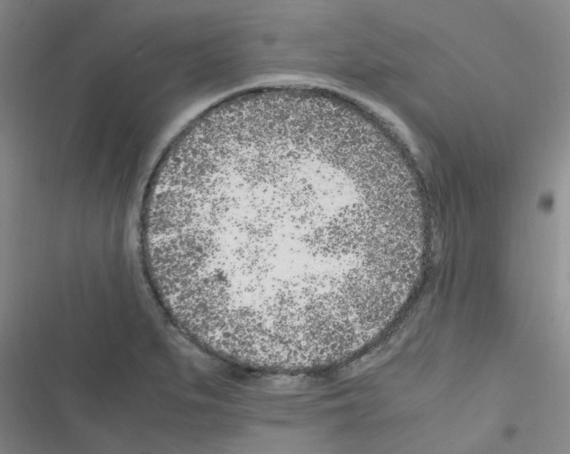 X0000116351279201001131058
