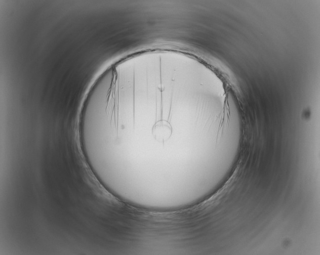X0000116351280201001131058