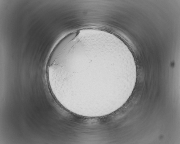 X0000116351283201001131058