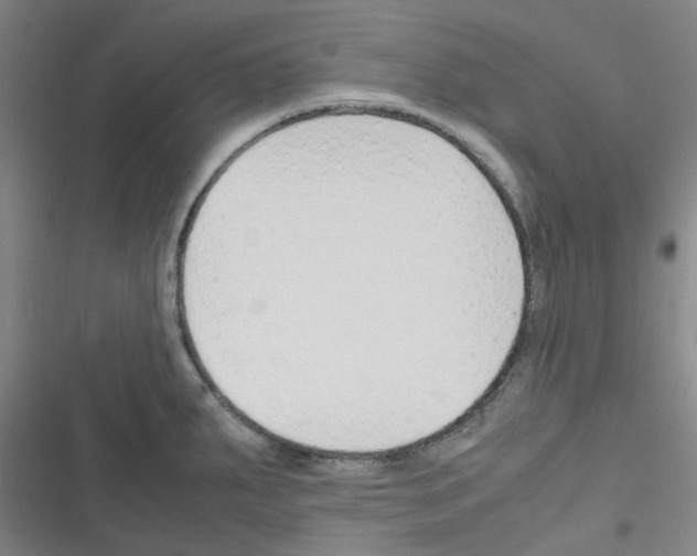 X0000116351287201001131058