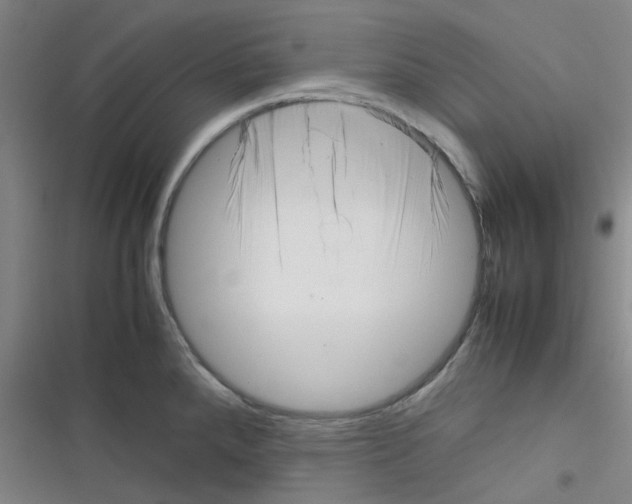 X0000116351288201001131058