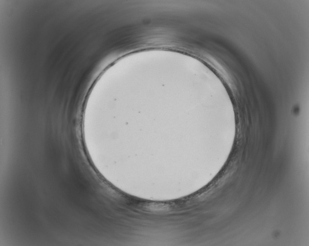 X0000116351291201001131058