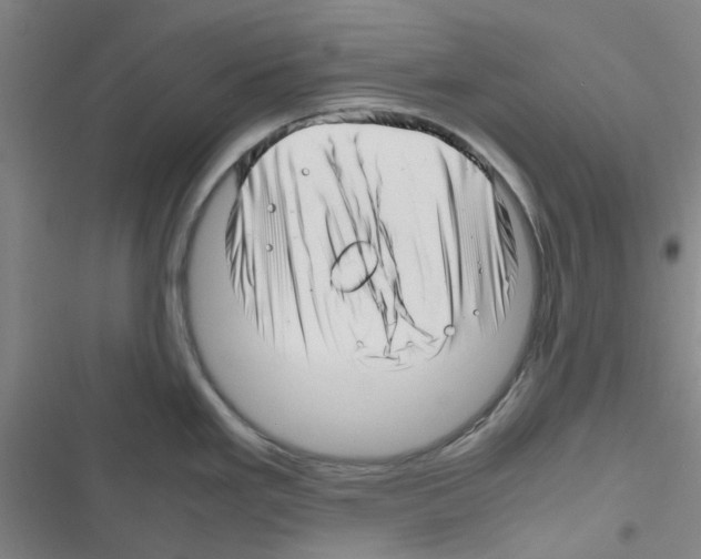 X0000116351293201001131058