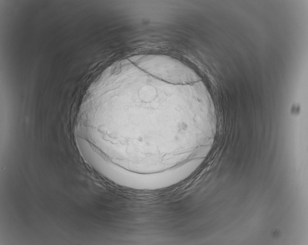 X0000116351297201001131058