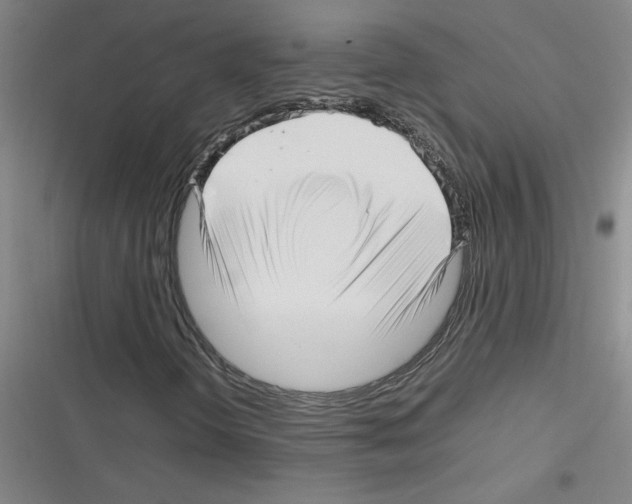 X0000116351298201001131058