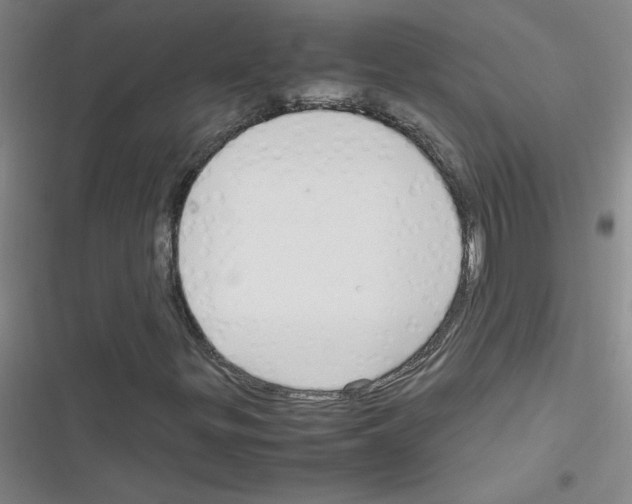 X0000116351299201001131058